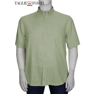 Maxfort shirt man short sleeve plus size  1262 green